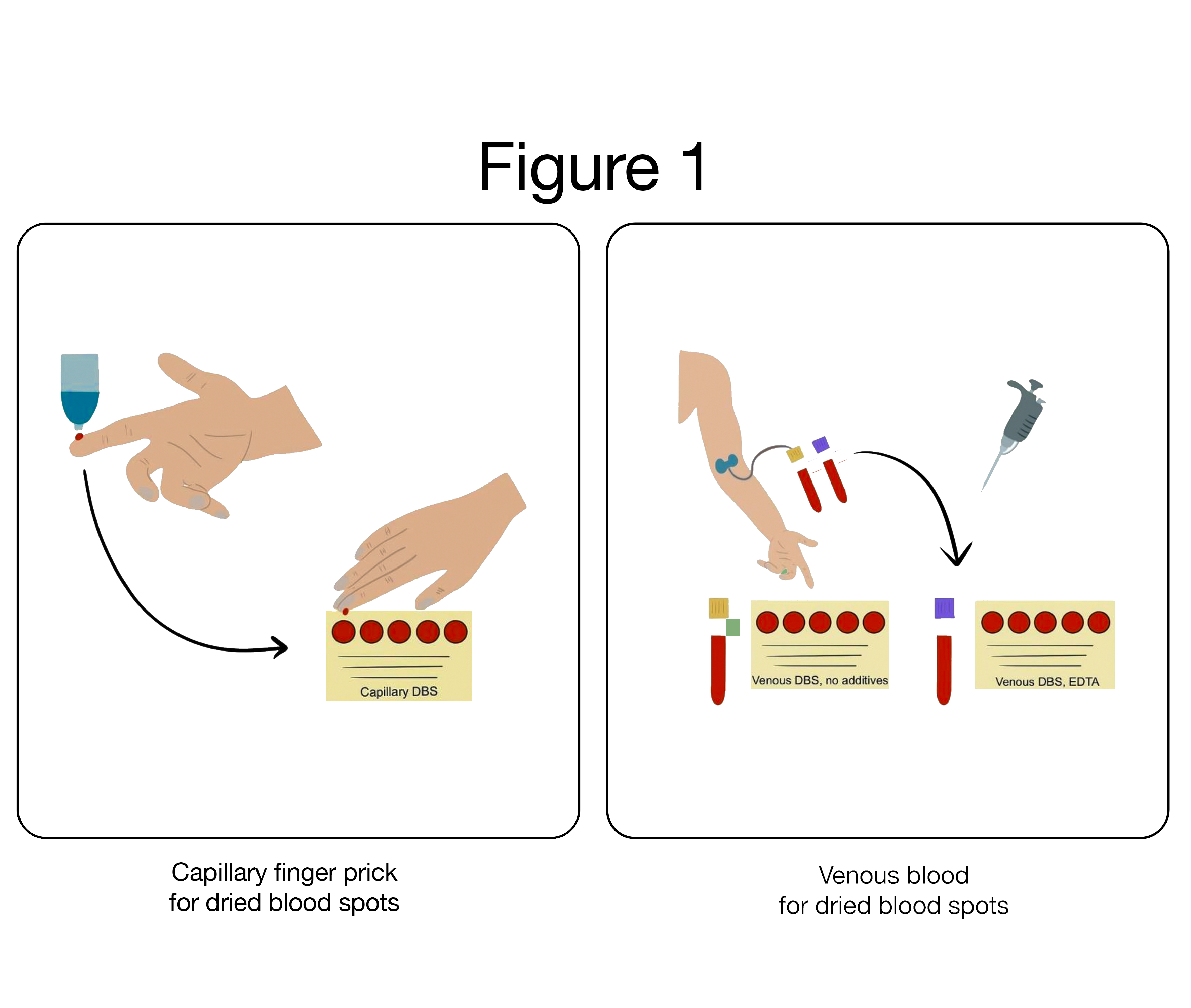 Illustration by: Rosalie Martens
