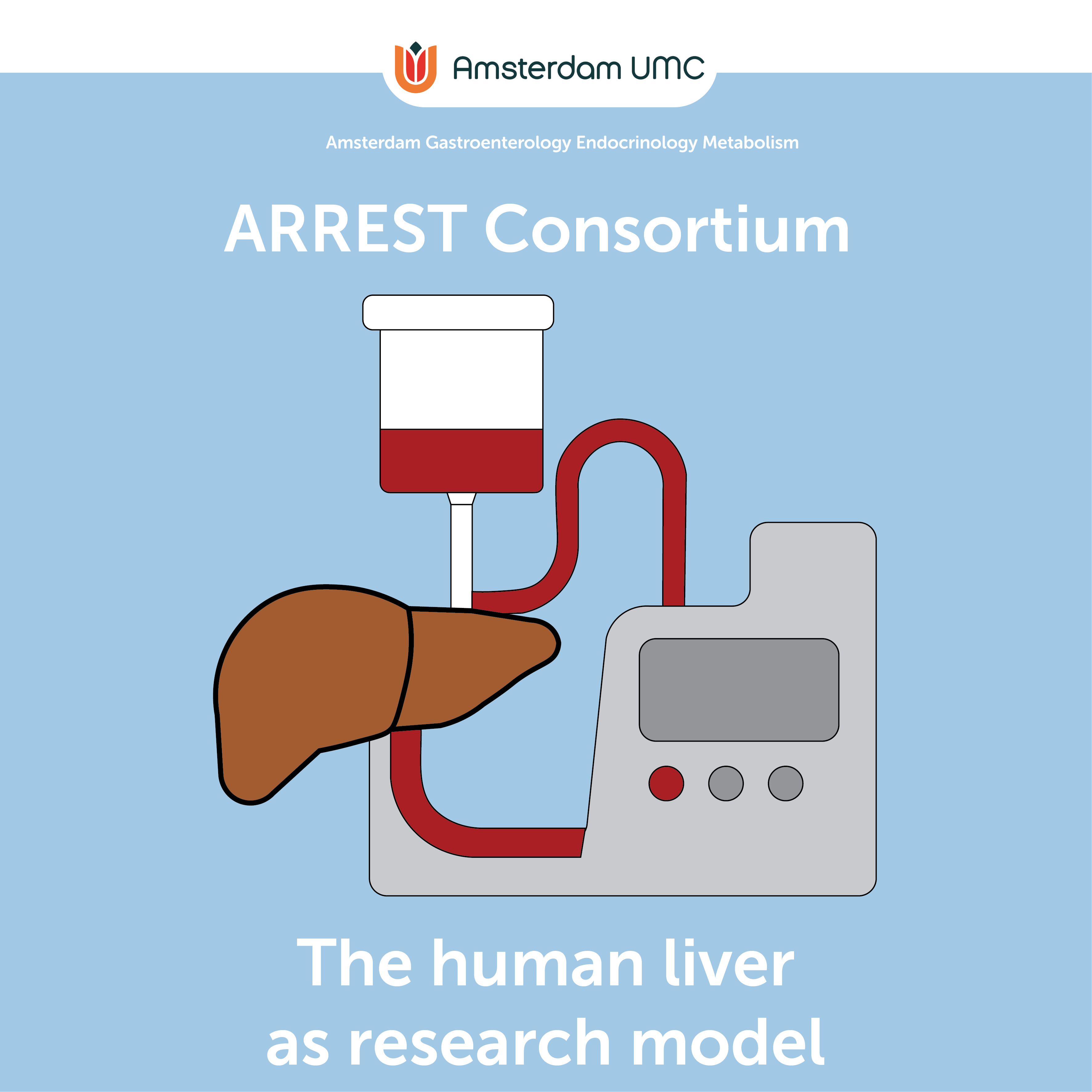 Perfused human liver as research model