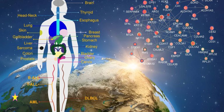 Online atlas met bijna 10.000 eiwitten biedt schat aan data voor ontwikkeling kankertherapieën