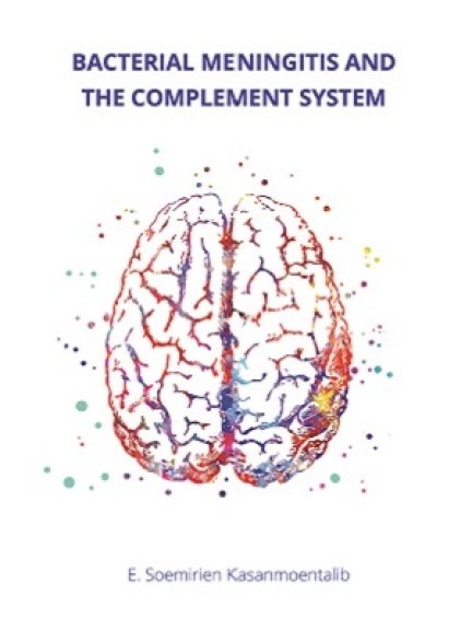Thesis cover Soemirien Kasanmoentalib