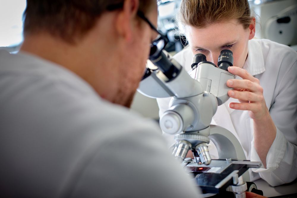 One-stop shop for biobanks