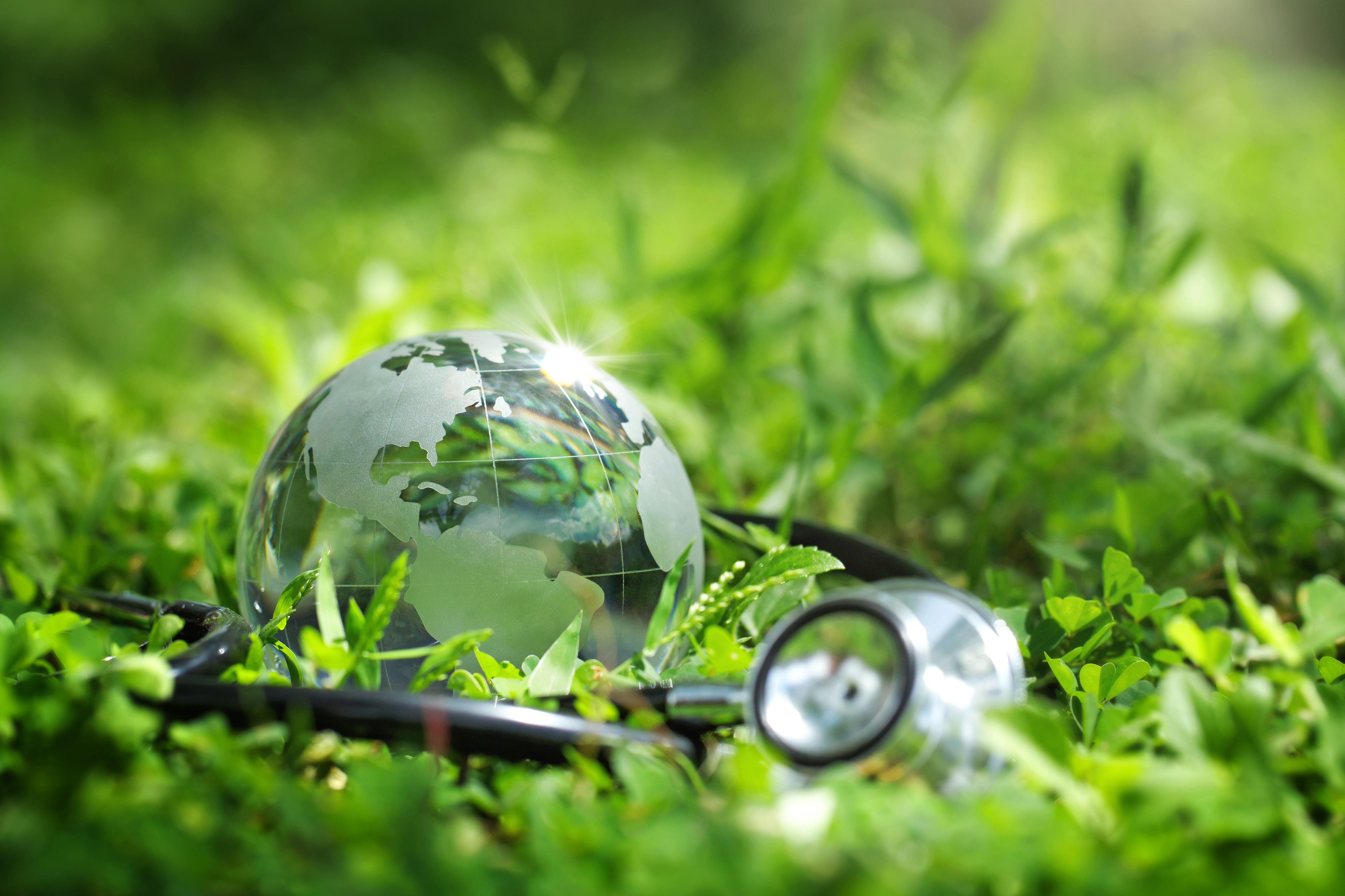 Now open: Seed funding for Environmental Sustainability Research