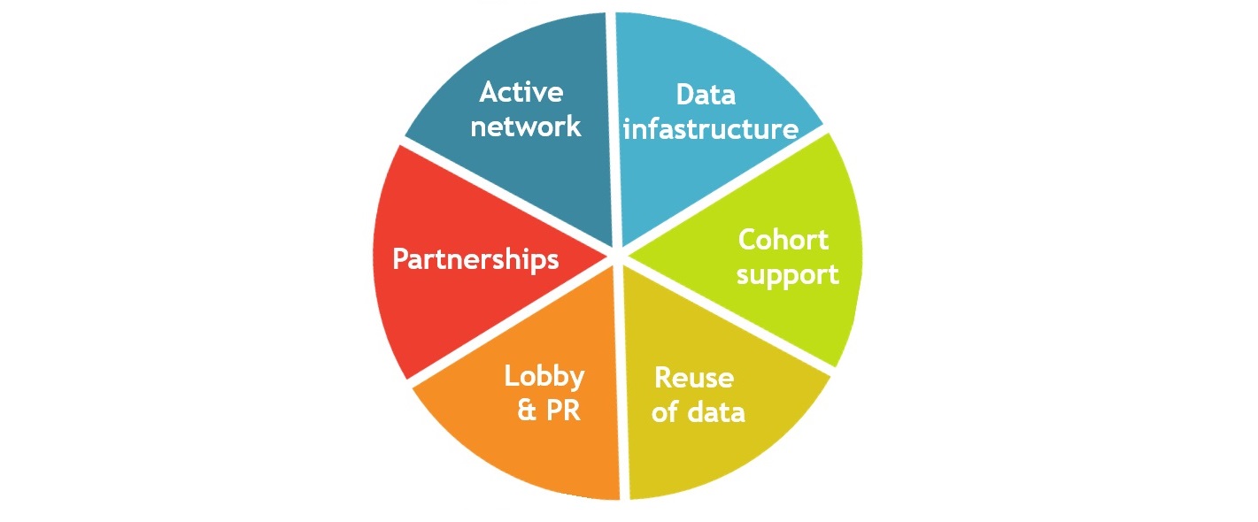 Our 6 areas of action