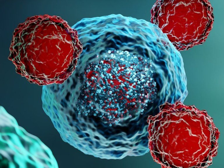 €14,6 miljoen voor onderzoek naar CAR-T-celtherapie voor ernstige auto-immuunziekten