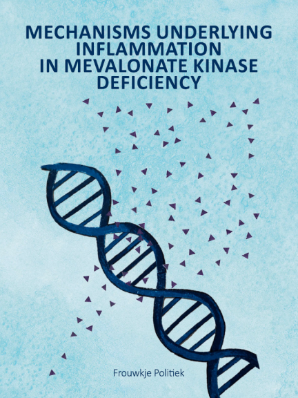 Thesis Frouwkje Politiek