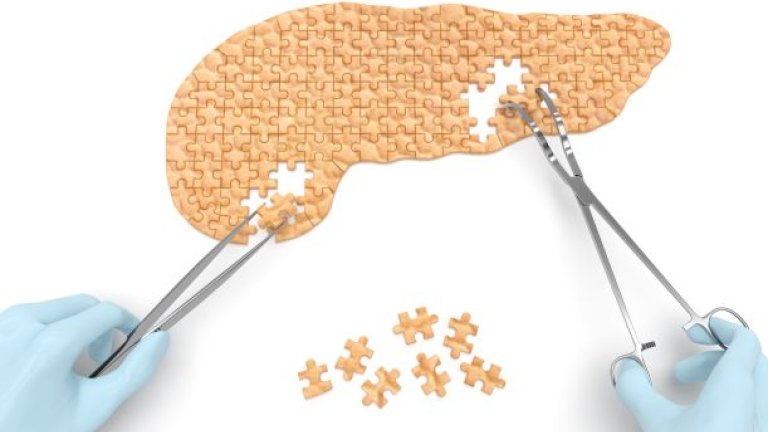 puzzle with a pancreas