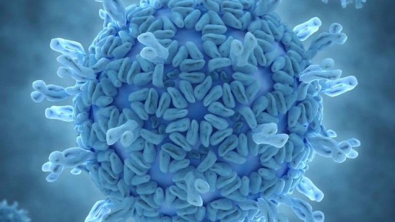 Illustratie van een rotavirus. Foto: Image Source/Callista Images/Hollandse Hoogte