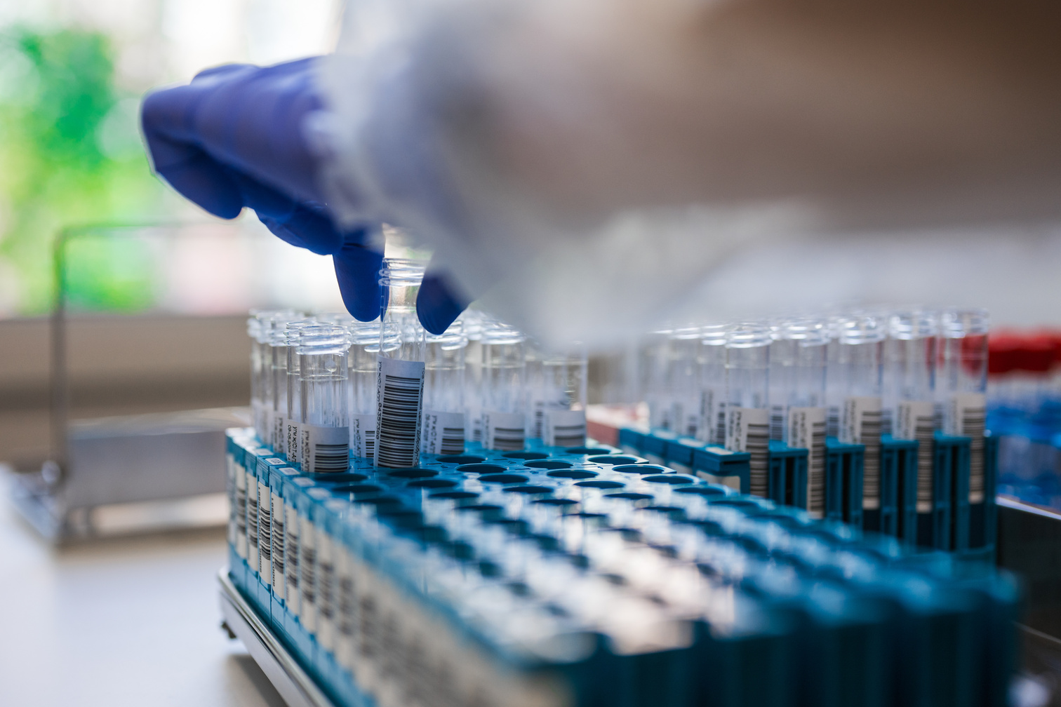 26 September 2026: Go-Live of 1LIMS