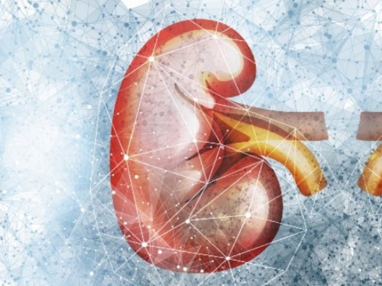Preventive Measures Effective for Kidney Transplant Patients During COVID-19 Pandemic