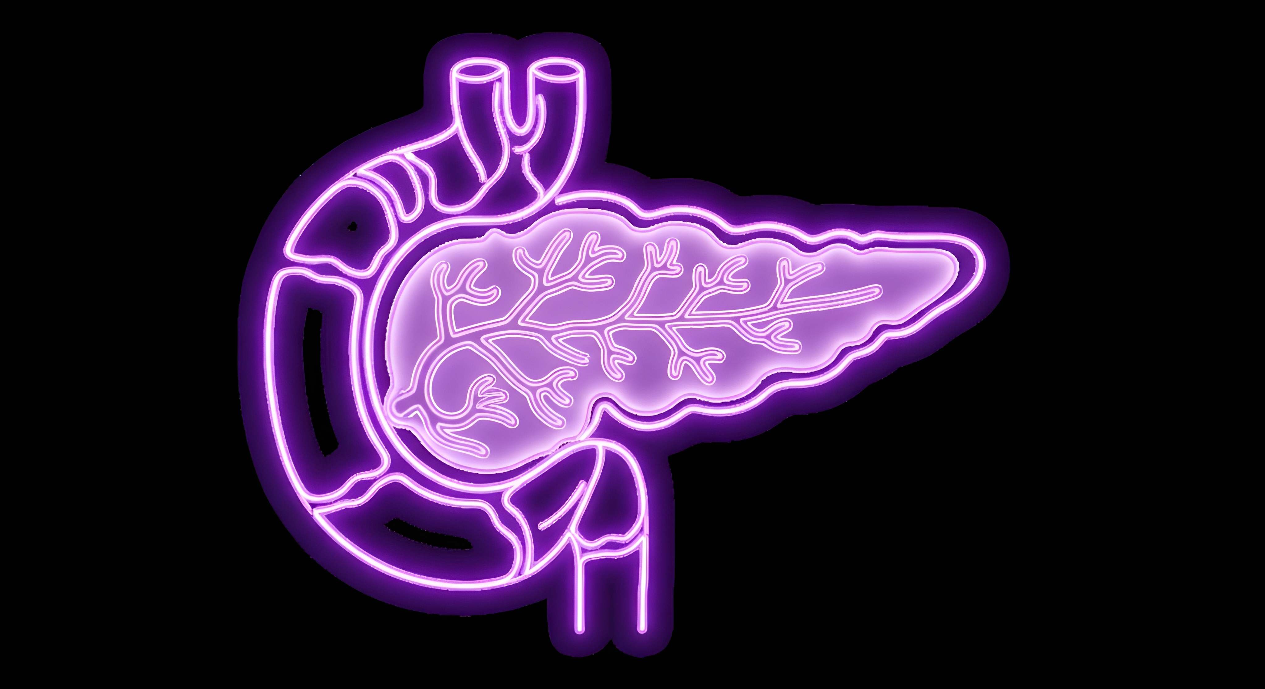 Opmerkelijk: alvleesklierkankercellen produceren zelf oestrogeen, aanknopingspunt voor therapie