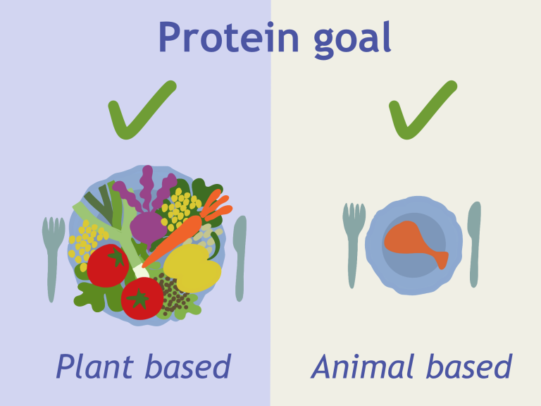Sustainable nutrition in the Amsterdam UMC: Finding the right protein balance