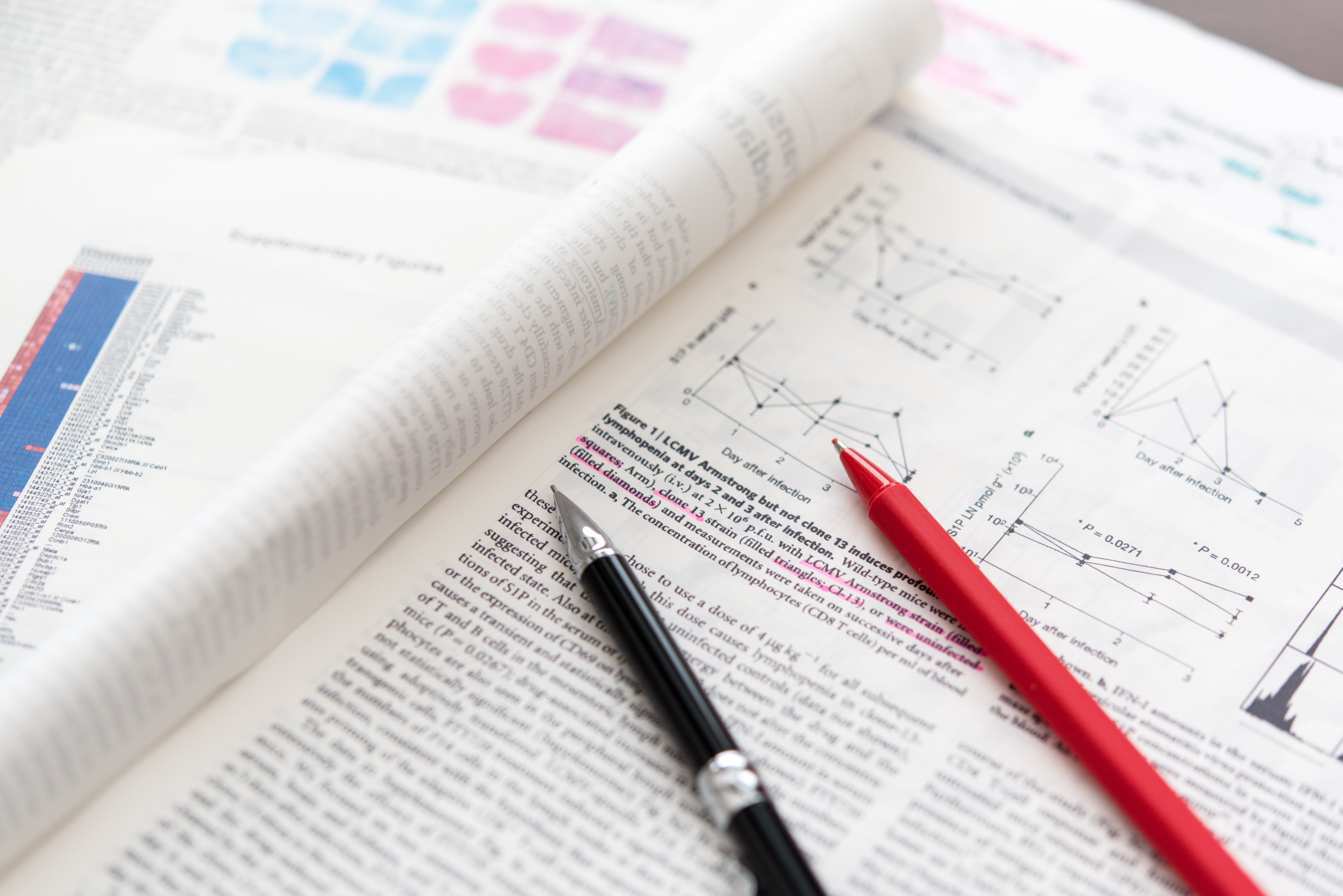 Concerns About PubMed: Unrest Over Search Results and U.S. Influence