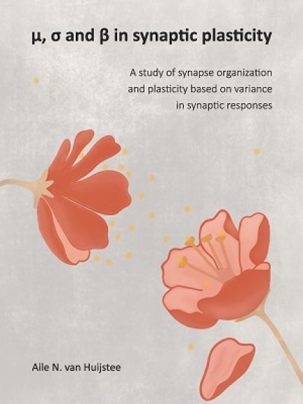 Thesis cover Aile van Huijstee
