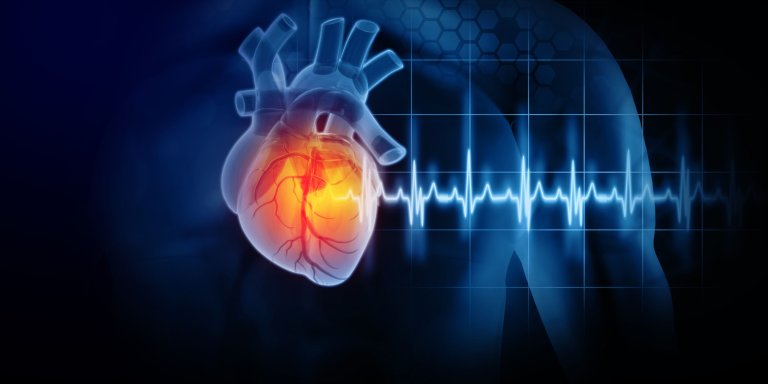 Transgender women do not have an increased risk of heart attack and stroke