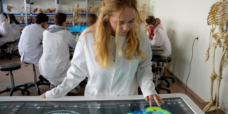 Geneeskundestudenten verkennen het menselijk lichaam met een digitale snijtafel