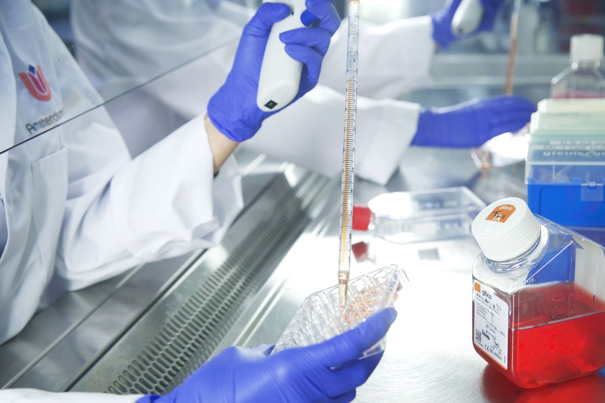 Let science work. Stop the budget cuts to research!
