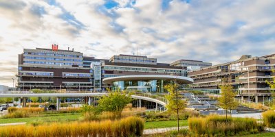 International affairs