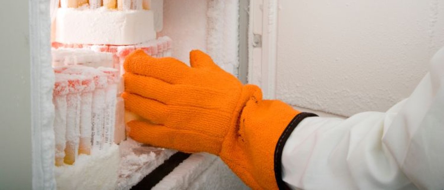 Get inspired to join the 2023 Freezer Challenge
