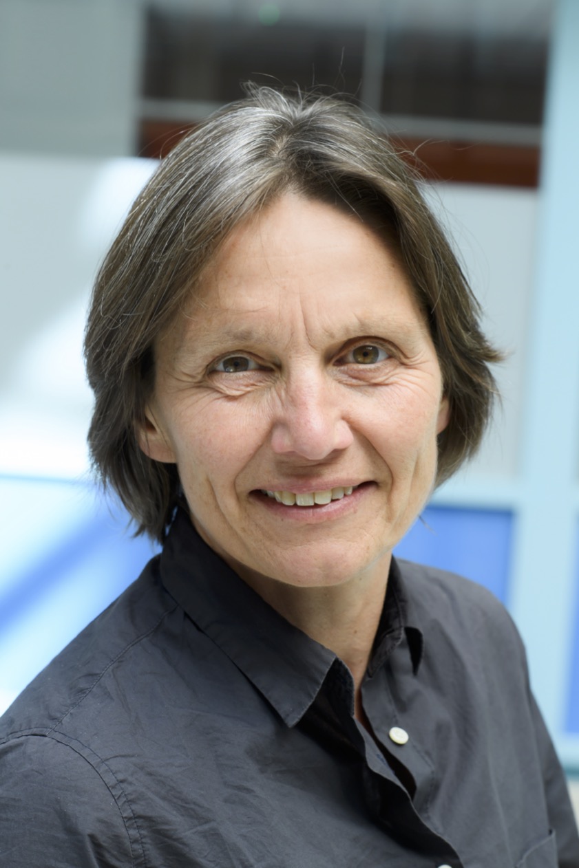 Annelou L. C. de Vries 