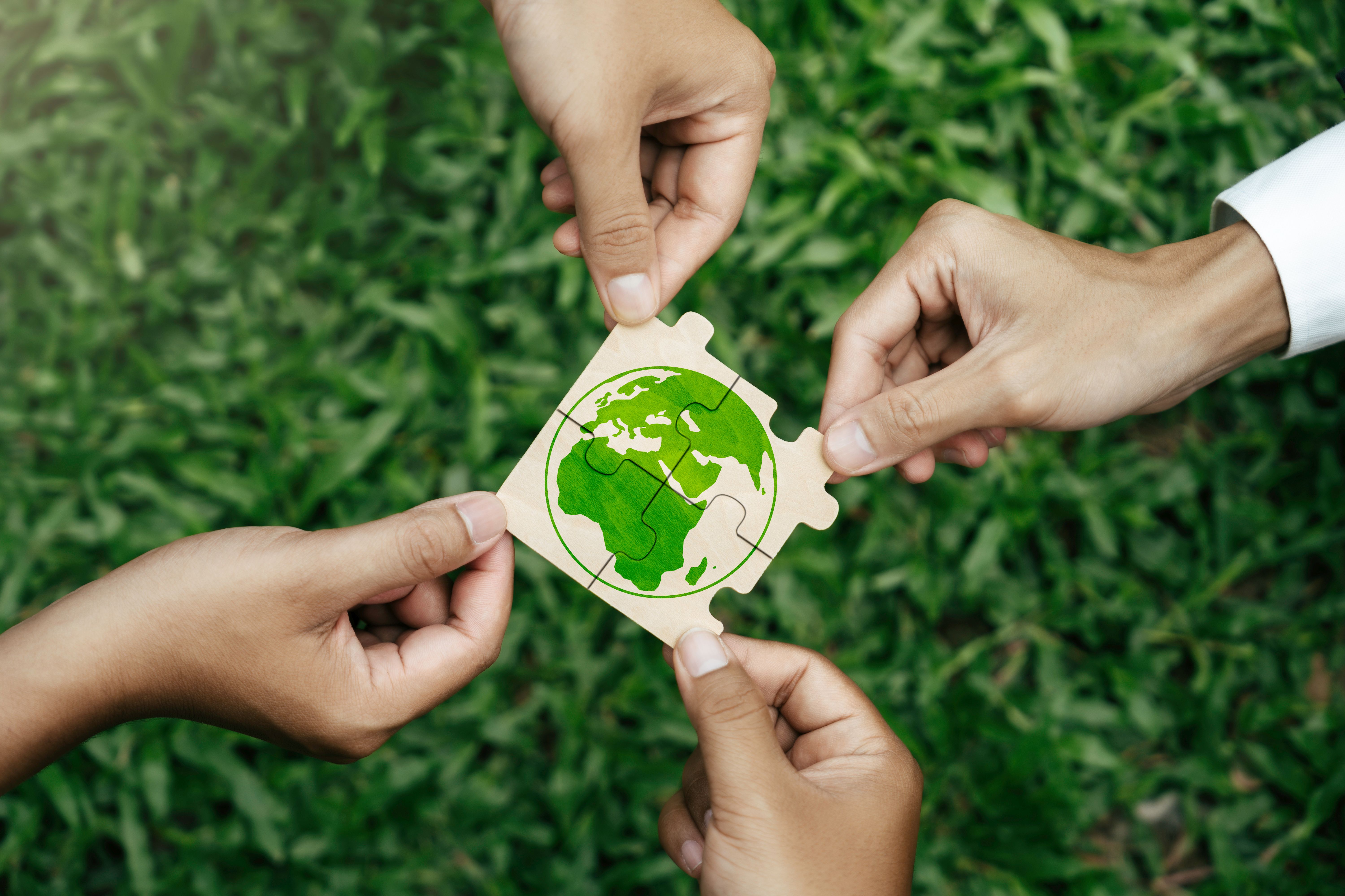 Announcements sustainability funds: Green Fund and Seed Grant  