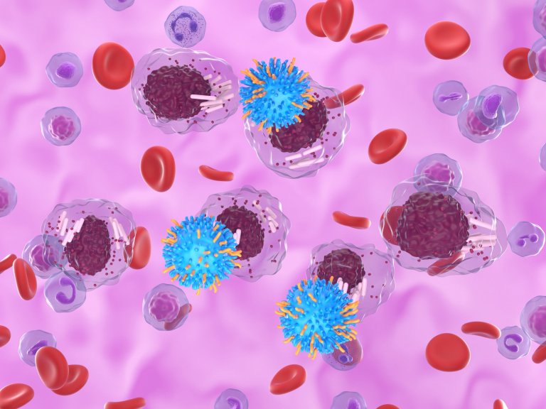 New insights into how cancer evades the immune system