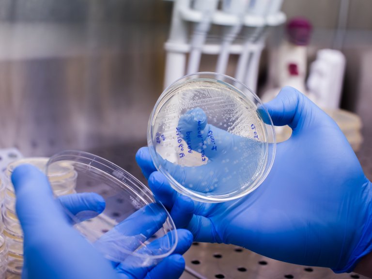 CAR-T cell therapy: proven effective for some cancer patients who are out of treatment options