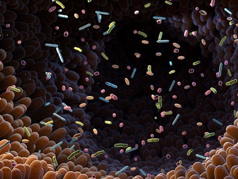 NWO Open Competition Domain Science-M2 funding for joint research on sugar barcodes instructing intestinal immune cells