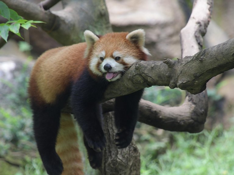 Blog 41: New year, same PhD? Let&rsquo;s talk resolutions