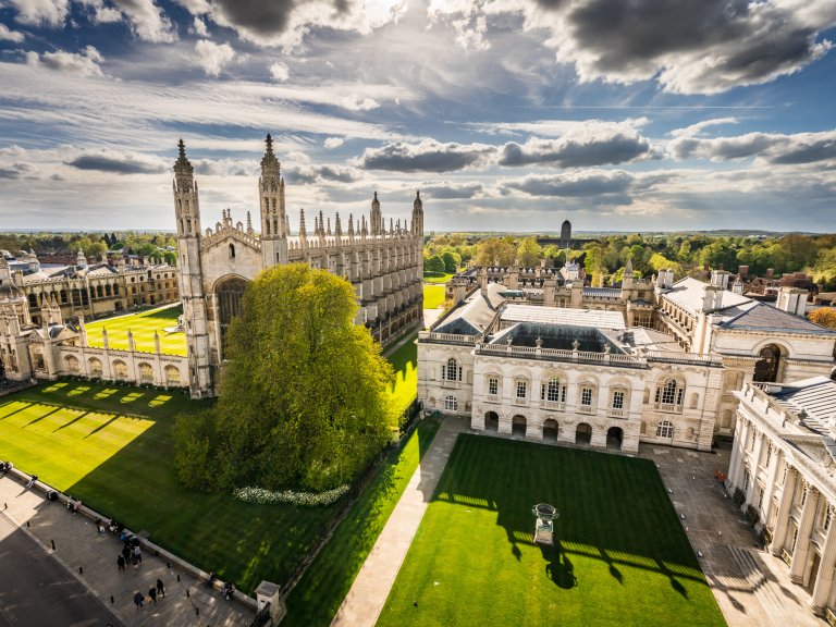 Travel grant: Punting, afternoon tea, and tissue clearing at the University of Cambridge