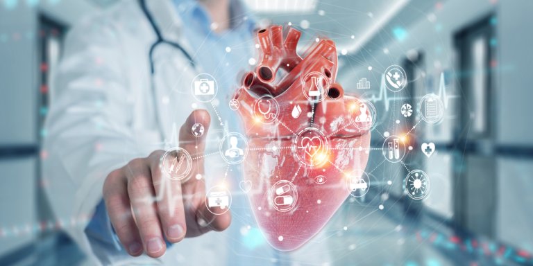 Zes onderzoekers krijgen beurs voor beter opsporen en behandelen hartziekten