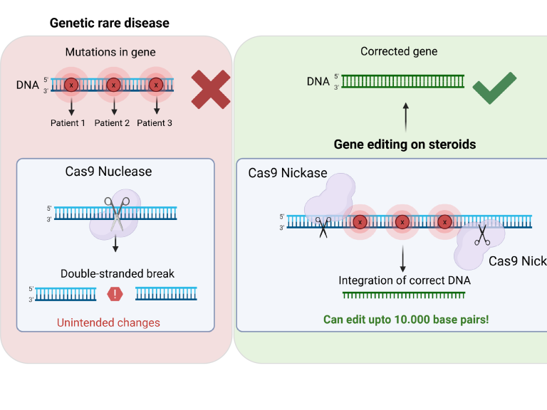 From Research to Reality:Developing New Therapeutic Strategies for Rare Diseases