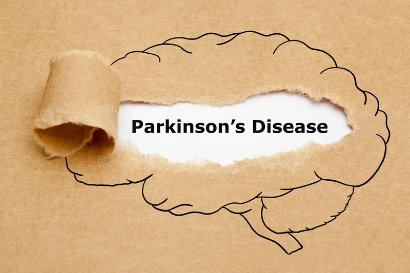 Grants from the Dutch Parkinson foundation