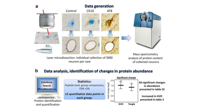Proces of data generation, identification of changes in protein abundance