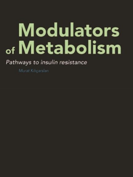 Thesis cover Murat Kiliçarslan