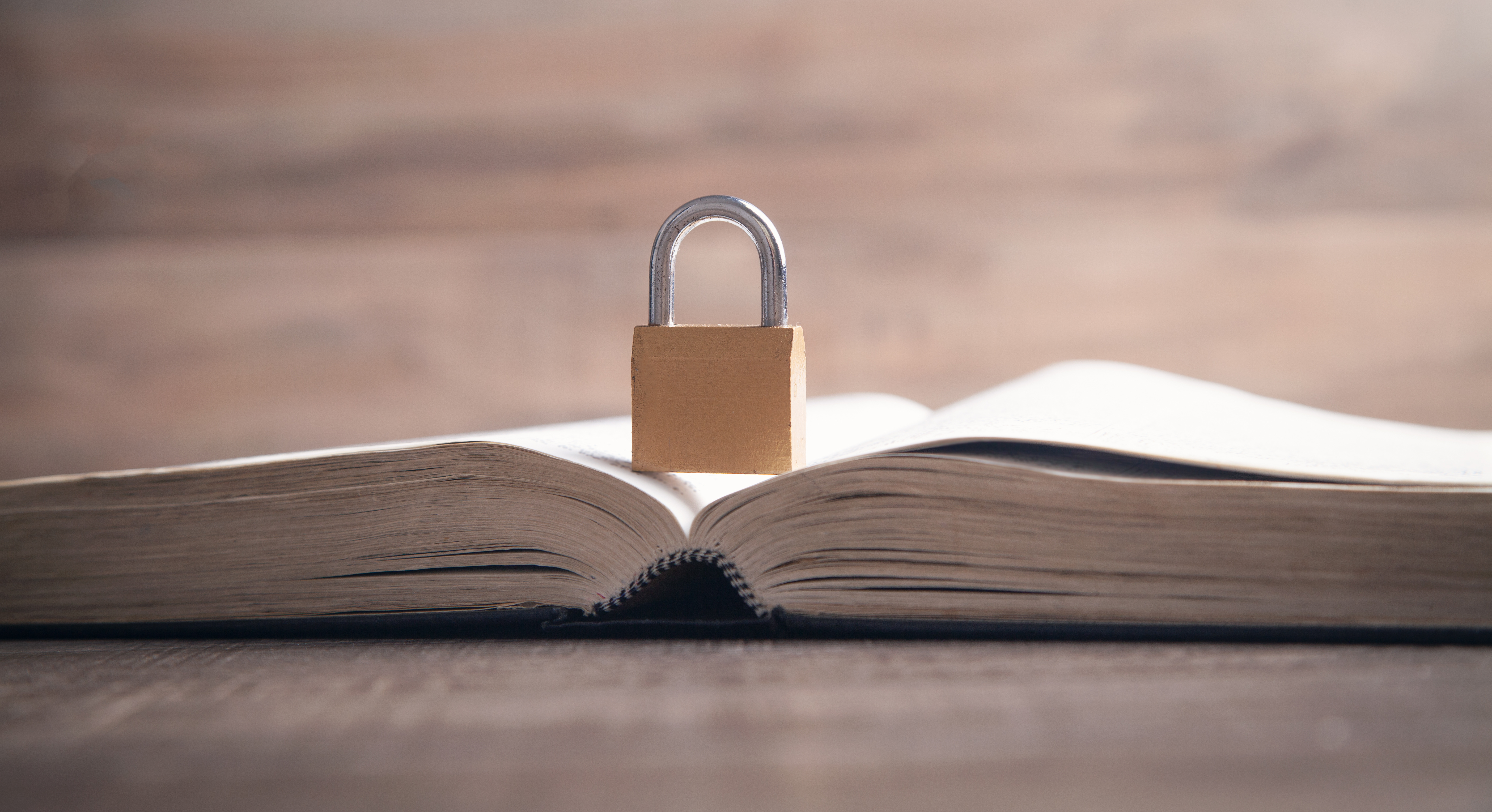 Information for PIs about knowledge security 
