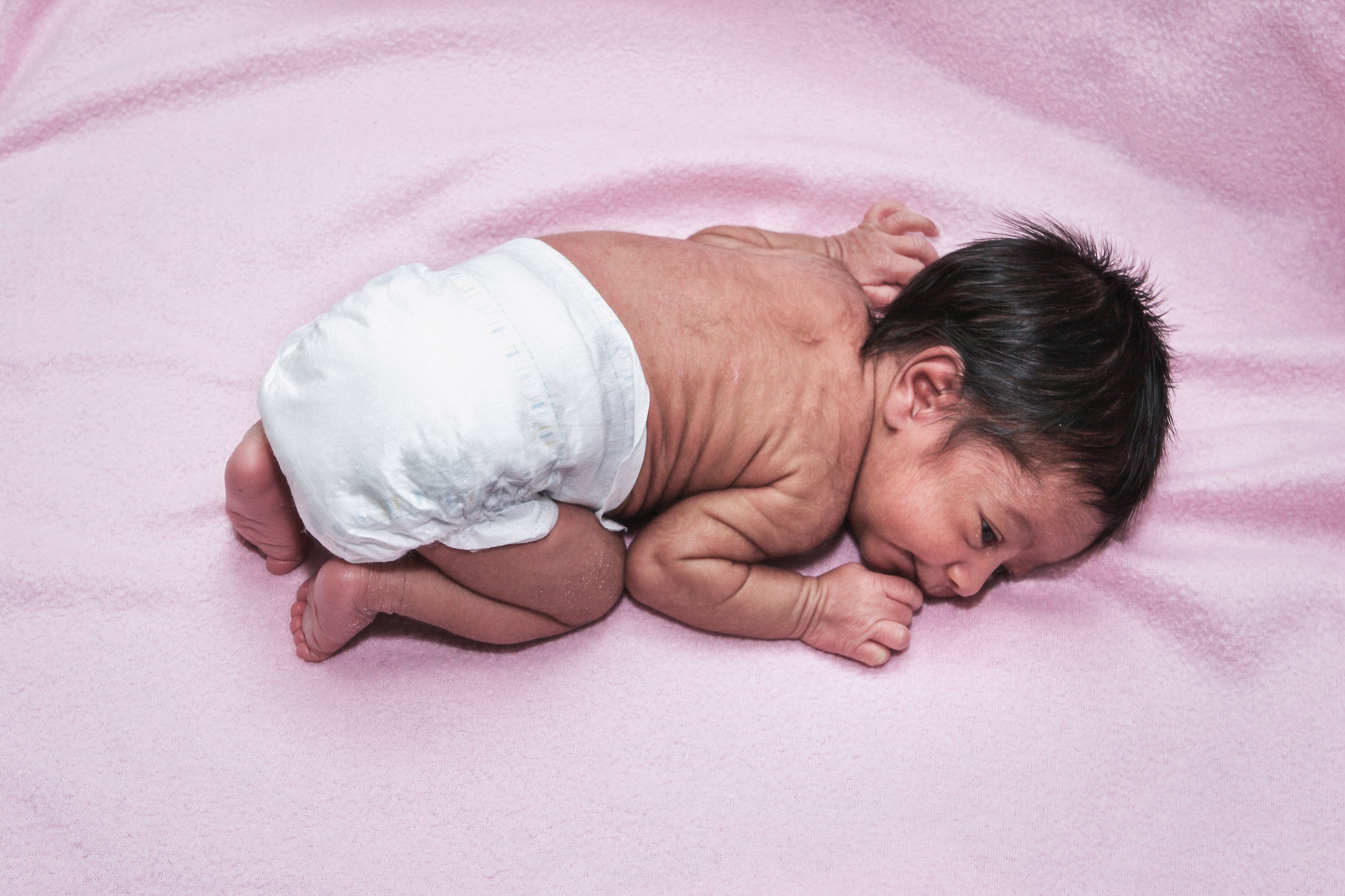 Hoe babyplasjes de kwaliteit van donornieren kunnen verbeteren
