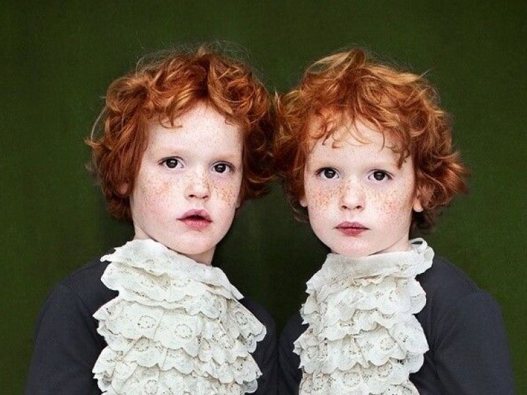 Nederlands Tweelingen Register / Netherlands Twin Register (NTR)