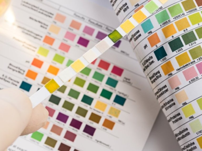 Co-creating tools to improve healthcare for frail older adults