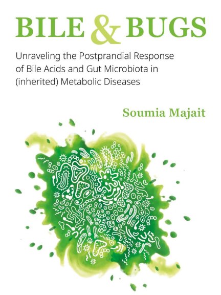 Thesis Soumia Majait