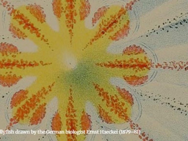 Travel Grants for young researchers (GNGH)