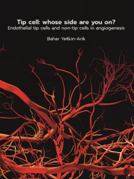 Thesis cover Bahar Arik