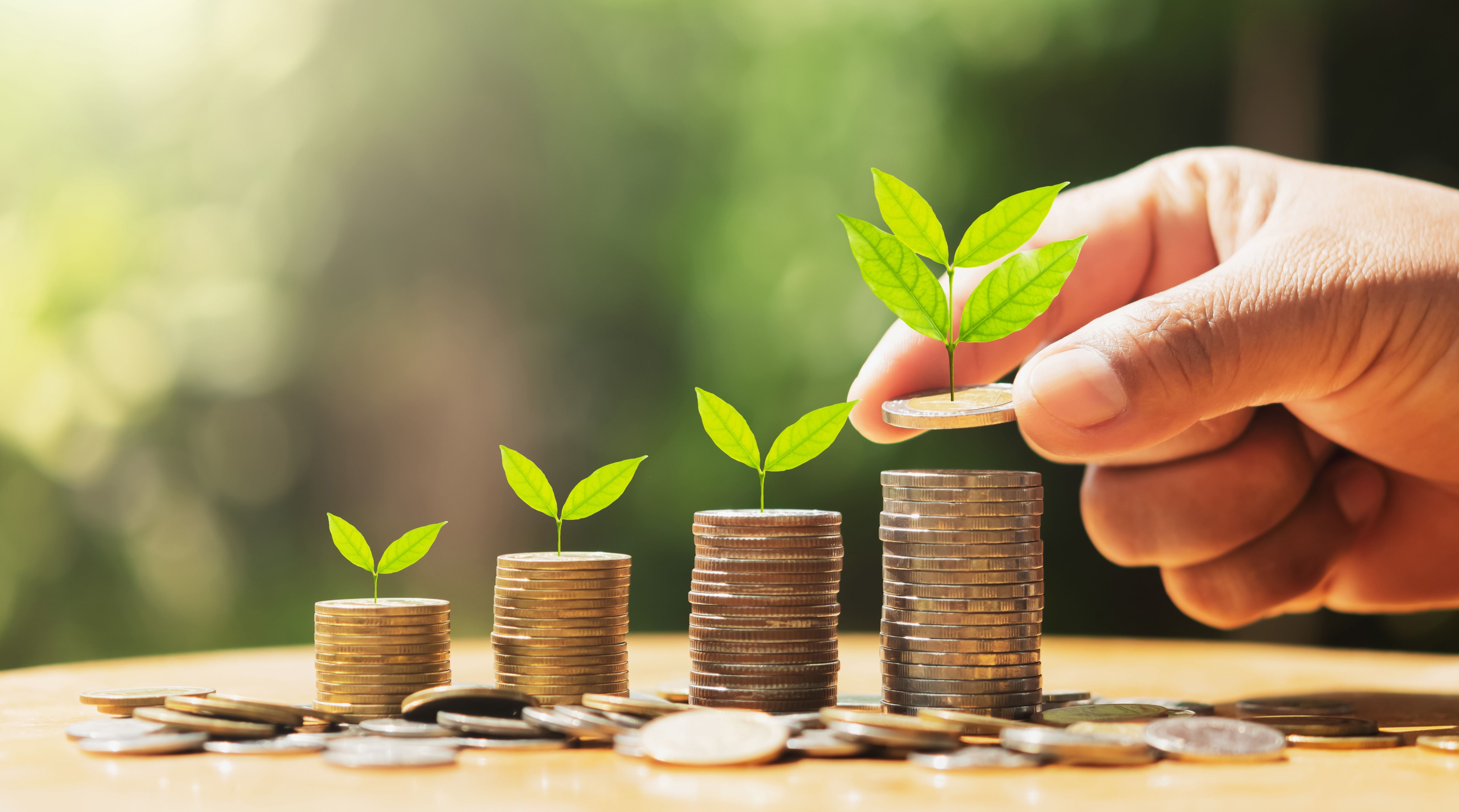 Practical sustainable project idea? Make use of the Green Fund!