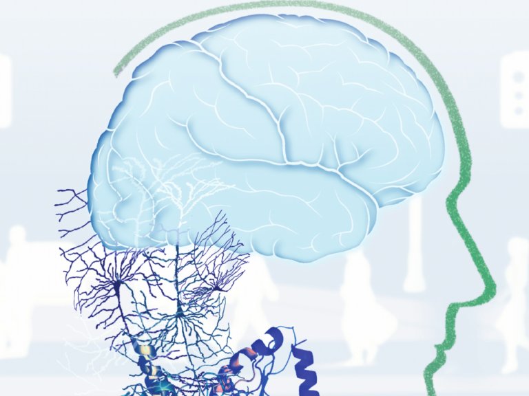 Managing Stress and Social Pain in Autistic Individuals